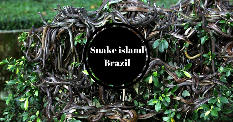 snake Island.png