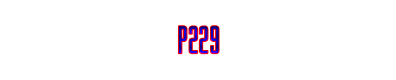 P229.png