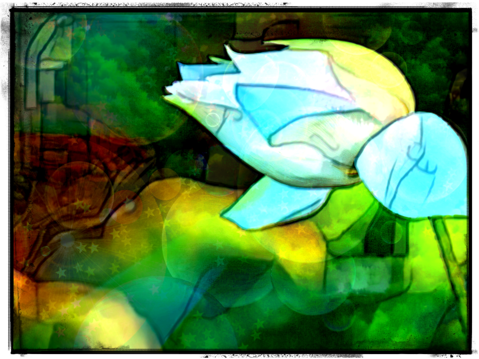 indian-lotus-3371897_1920.png