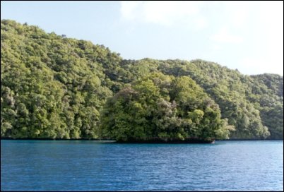 palau003b.jpg