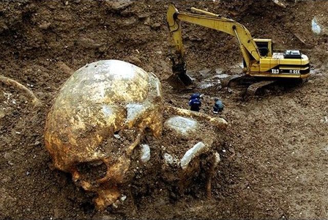 Human-Giant-Skull.jpg
