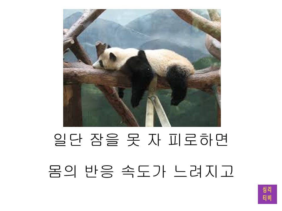 슬라이드14.PNG