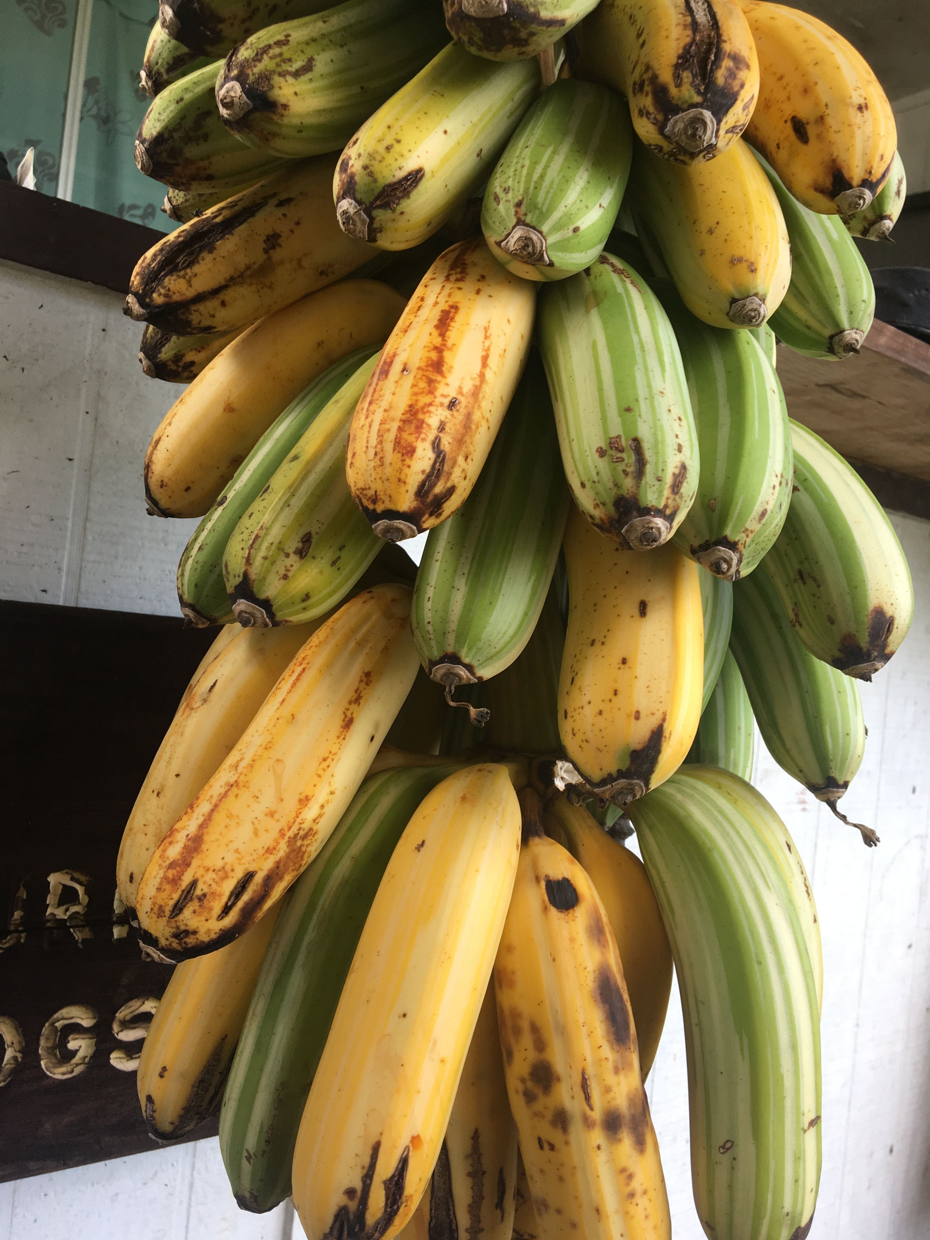banana i vene varicoase)