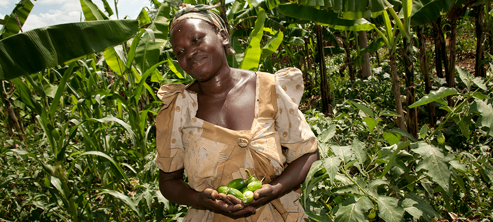 ARUWE-Woman-Holding-Crops-975x405.png