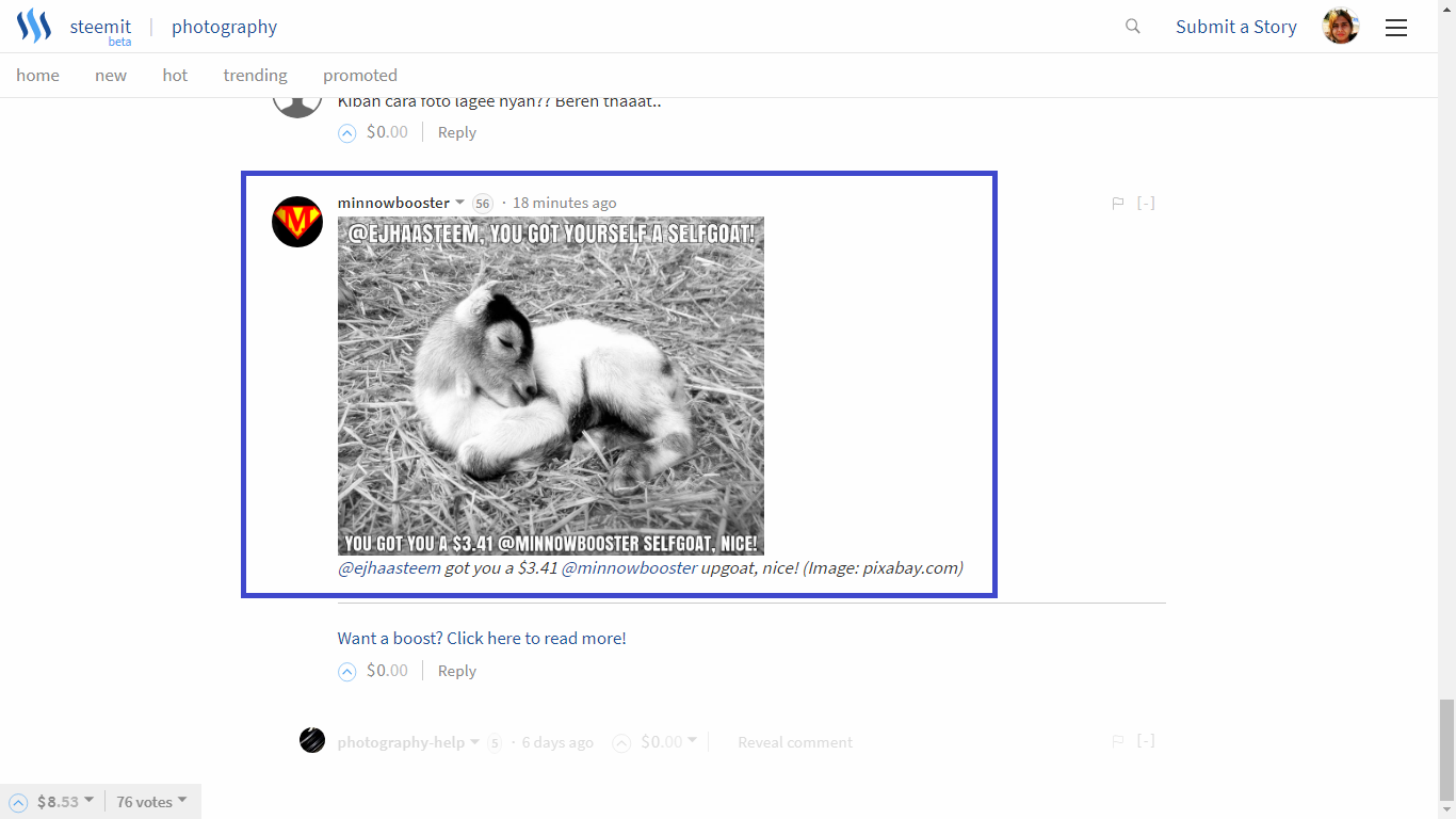 min 12.png