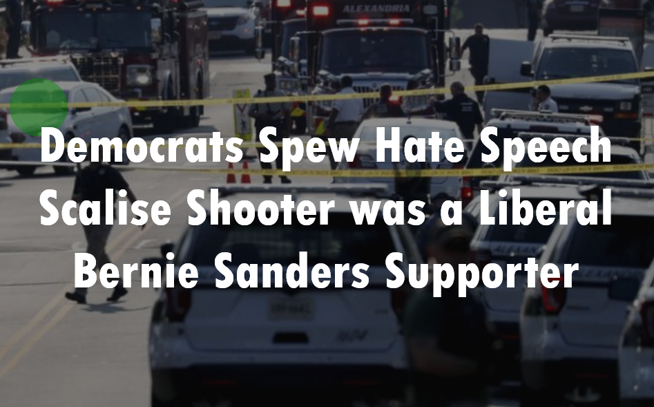 Scalise Shooter was Bernie Sanders Supporter.PNG