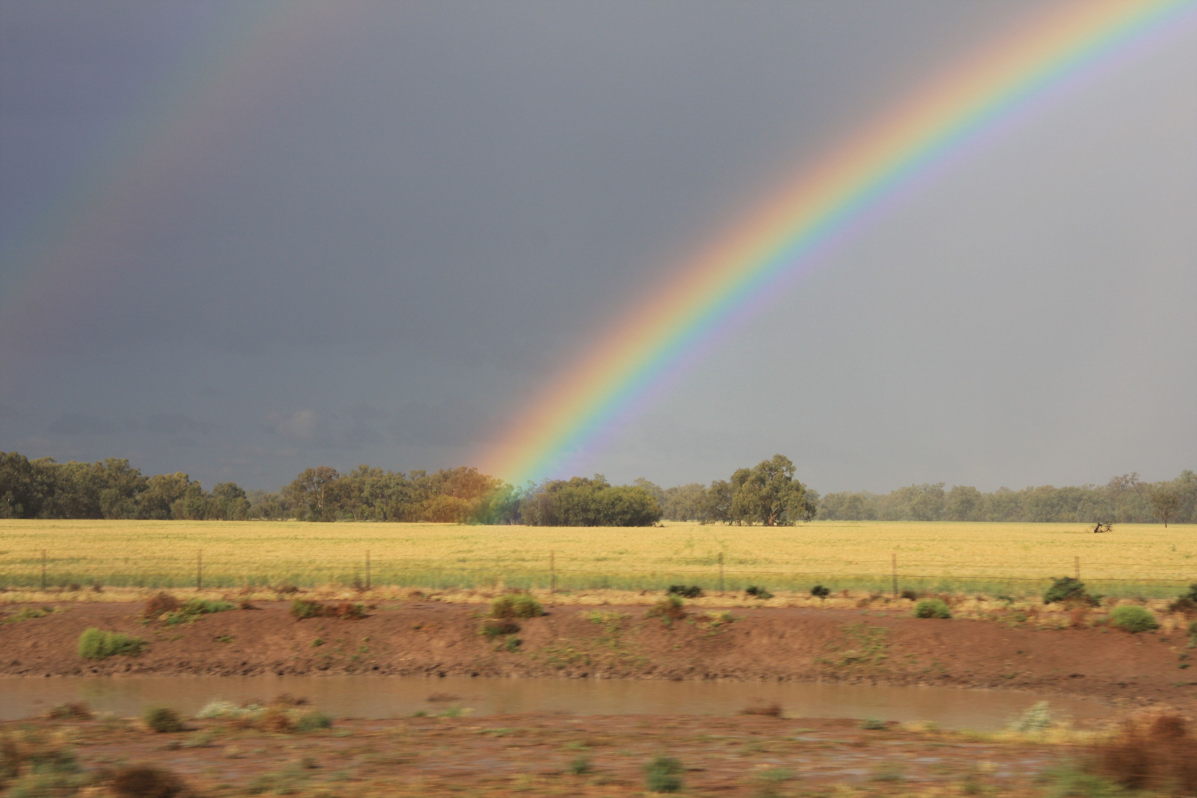 Macquarie Marshes 018.JPG