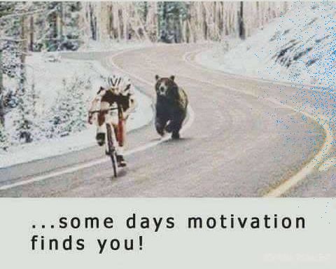 Some days it's hard to find motivation....jpg