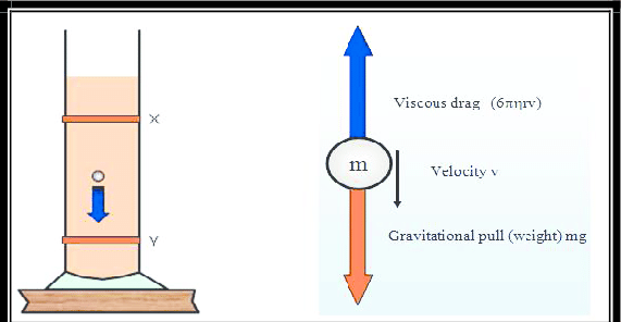 Fig-8-Estimating-viscosity-method-From-Stokes-Law-a-graph-of-v-against-r-2-plotted.png