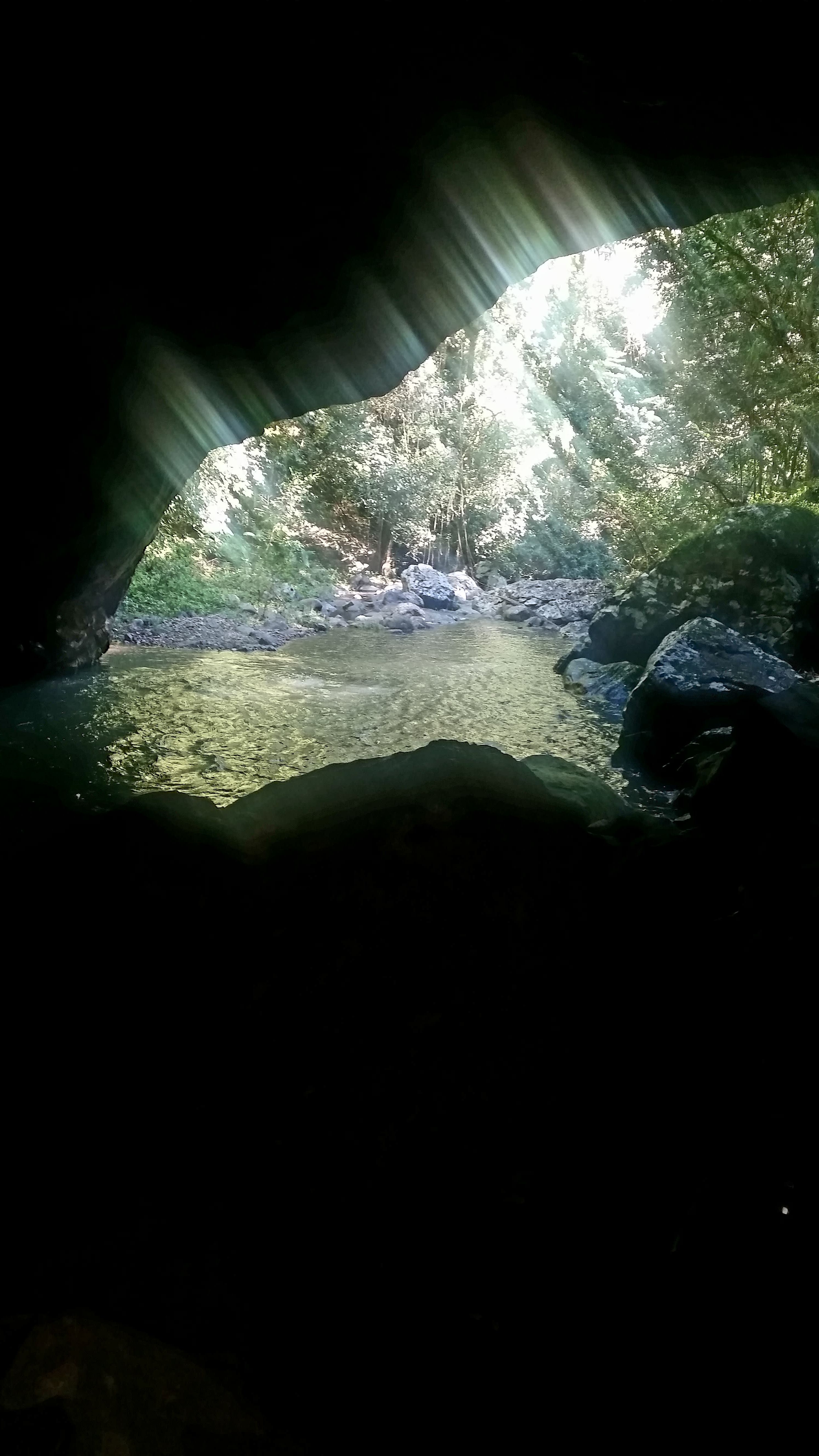 20160625_105819.jpg