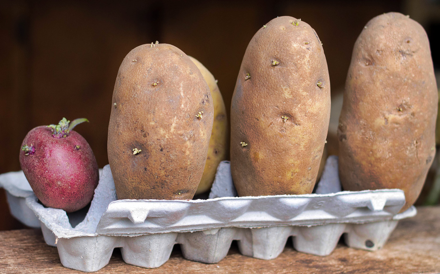 chitted-potatoes.jpg