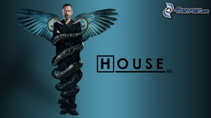 dr-house,-wings,-snake-168656.jpg
