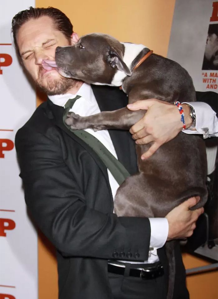 love-for-dogs-tom-hardy-9-59bf7380a1963__700.jpg