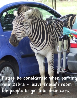 Parking Your Zebra in Africa.jpg