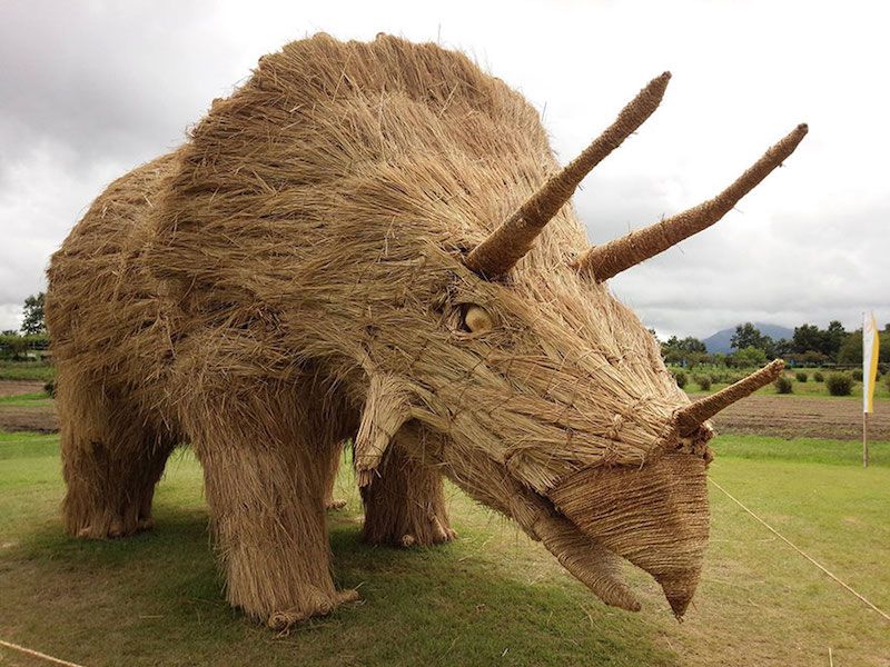 Triceratops photo-Wara Art Masuri.jpg