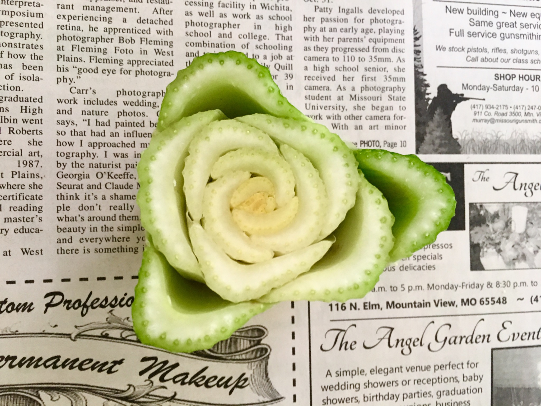 green thursday: make a flower stamp from a celery stalk! — steemit
