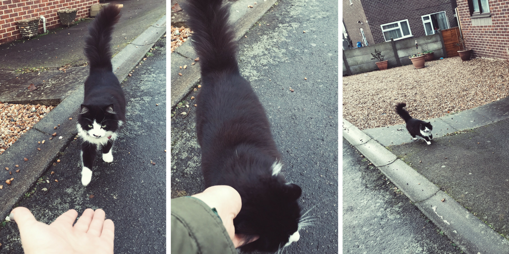 Untitled design (6).png