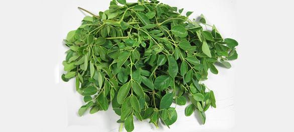 La-Moringa-para-adelgazar.jpg