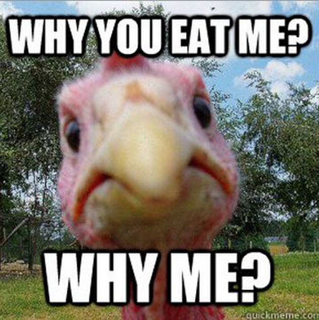Why-You-Eat-Me-Why-Me-Funny-Sad-Chicken-Image.jpg