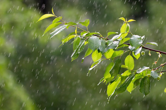 rain-3411982_640.jpg