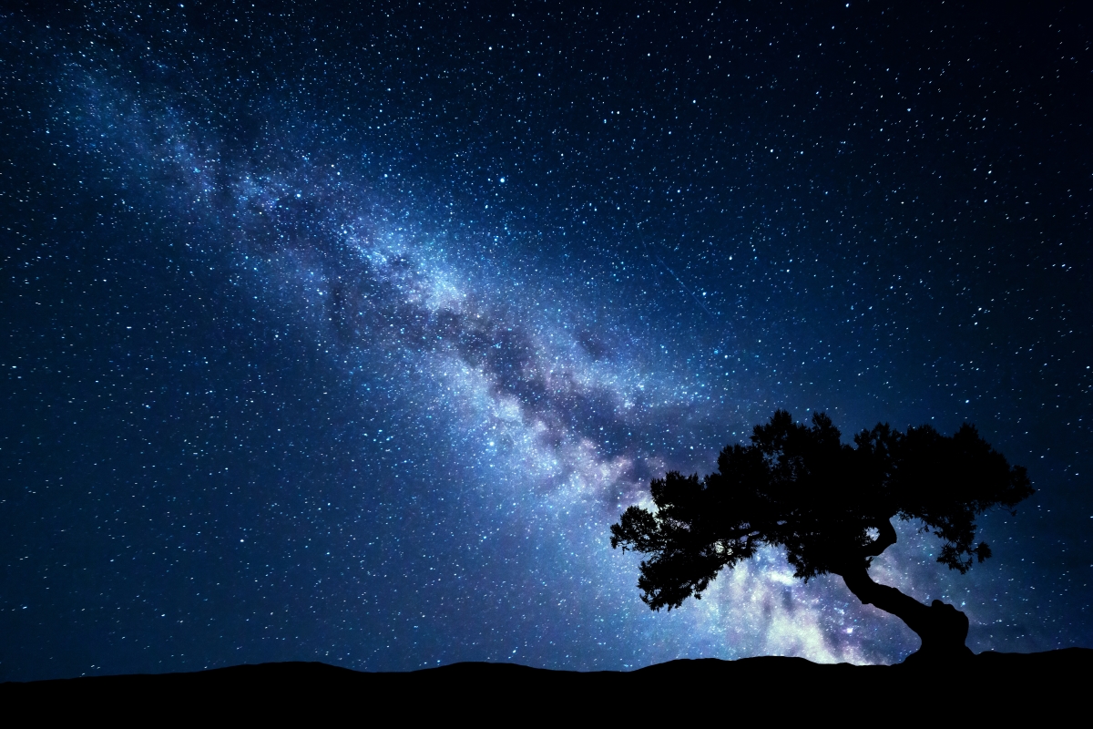 Optimized-tree-against-milky-way-night-landscape-PLPH2XC.jpg