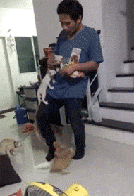 74766_812703_868194.jpg.gif