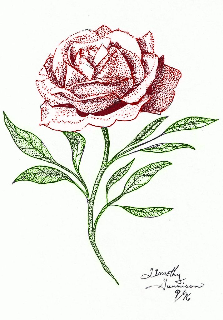 Rose Pen and Ink_573333396_l - Copy.jpg