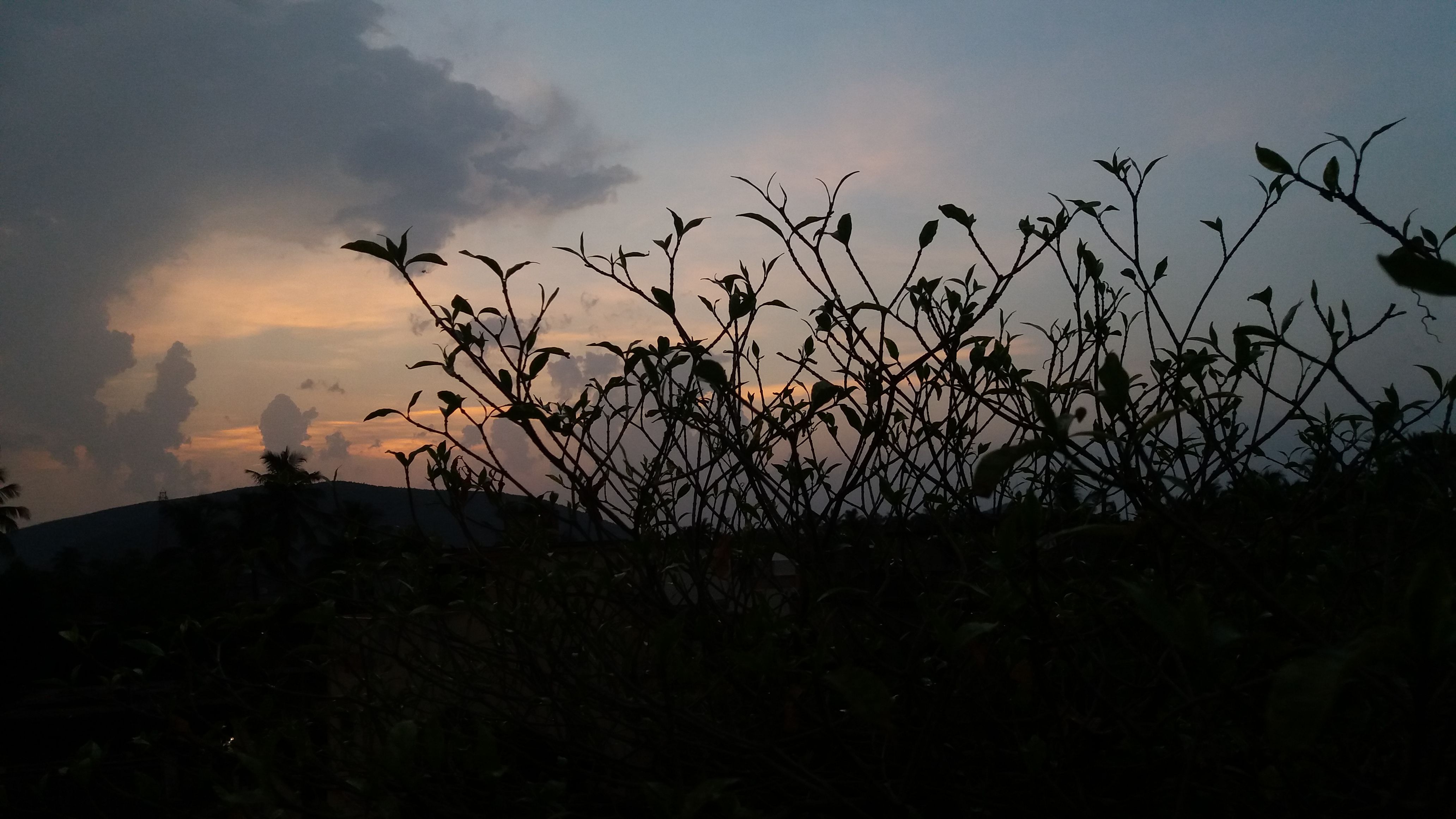 20160530_183738.jpg