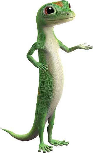 gecko-side.jpg