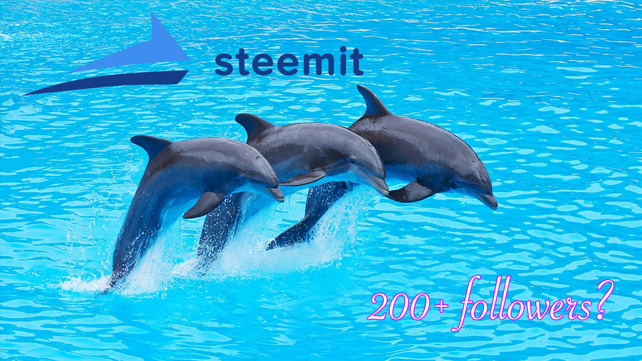 steemdolphin.png