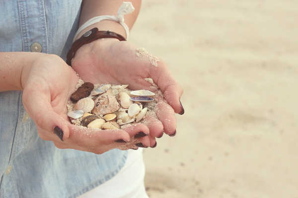hands with shells.jpg