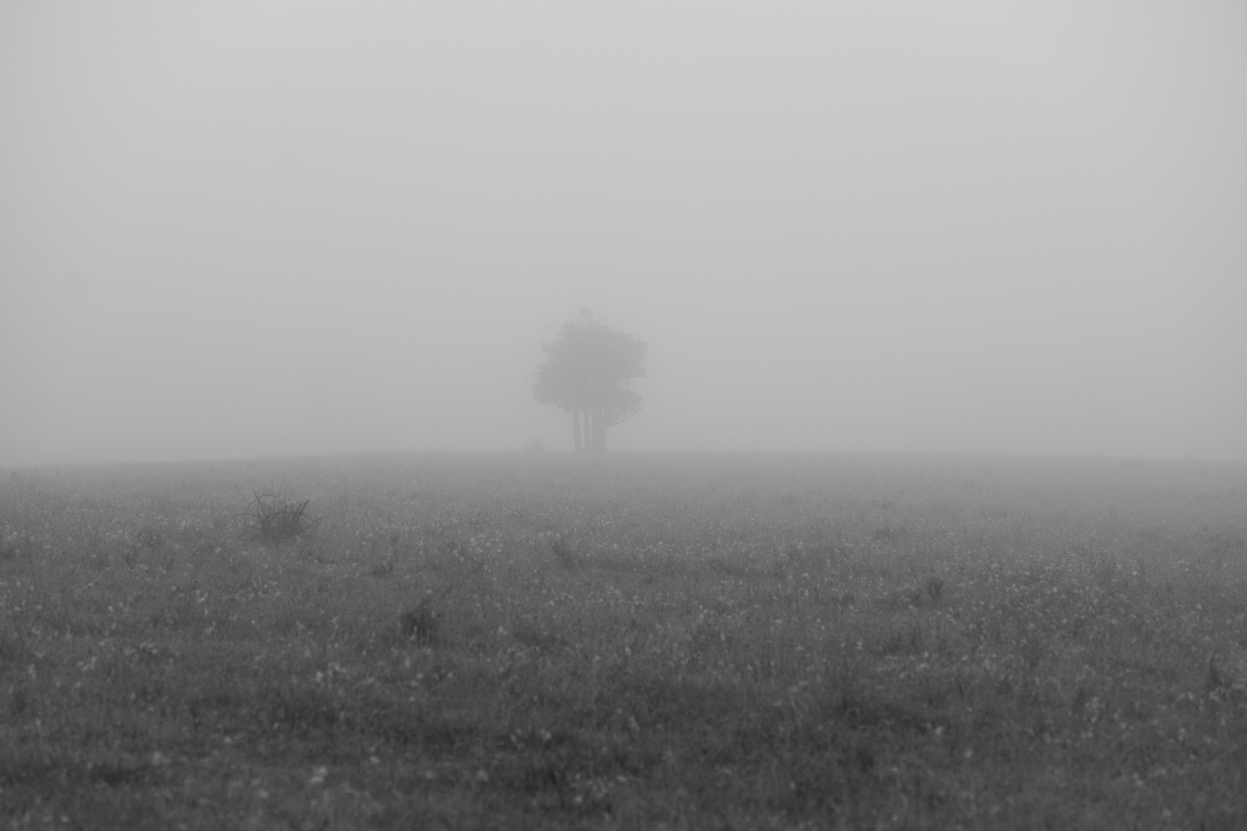 20121128-8227.jpg