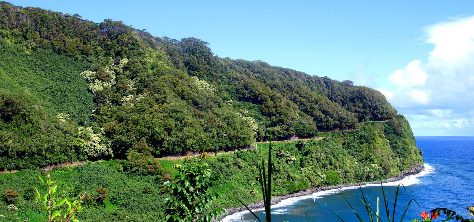 road-to-hana.jpg