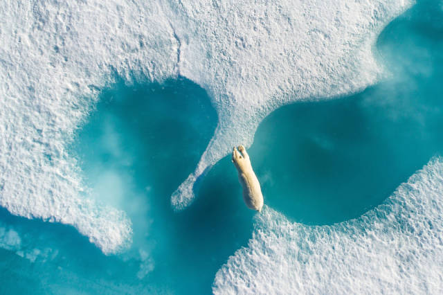 dronestagram_announces_top20_drone_pictures_of_2017_and_they_really_deliver_640_03.jpg