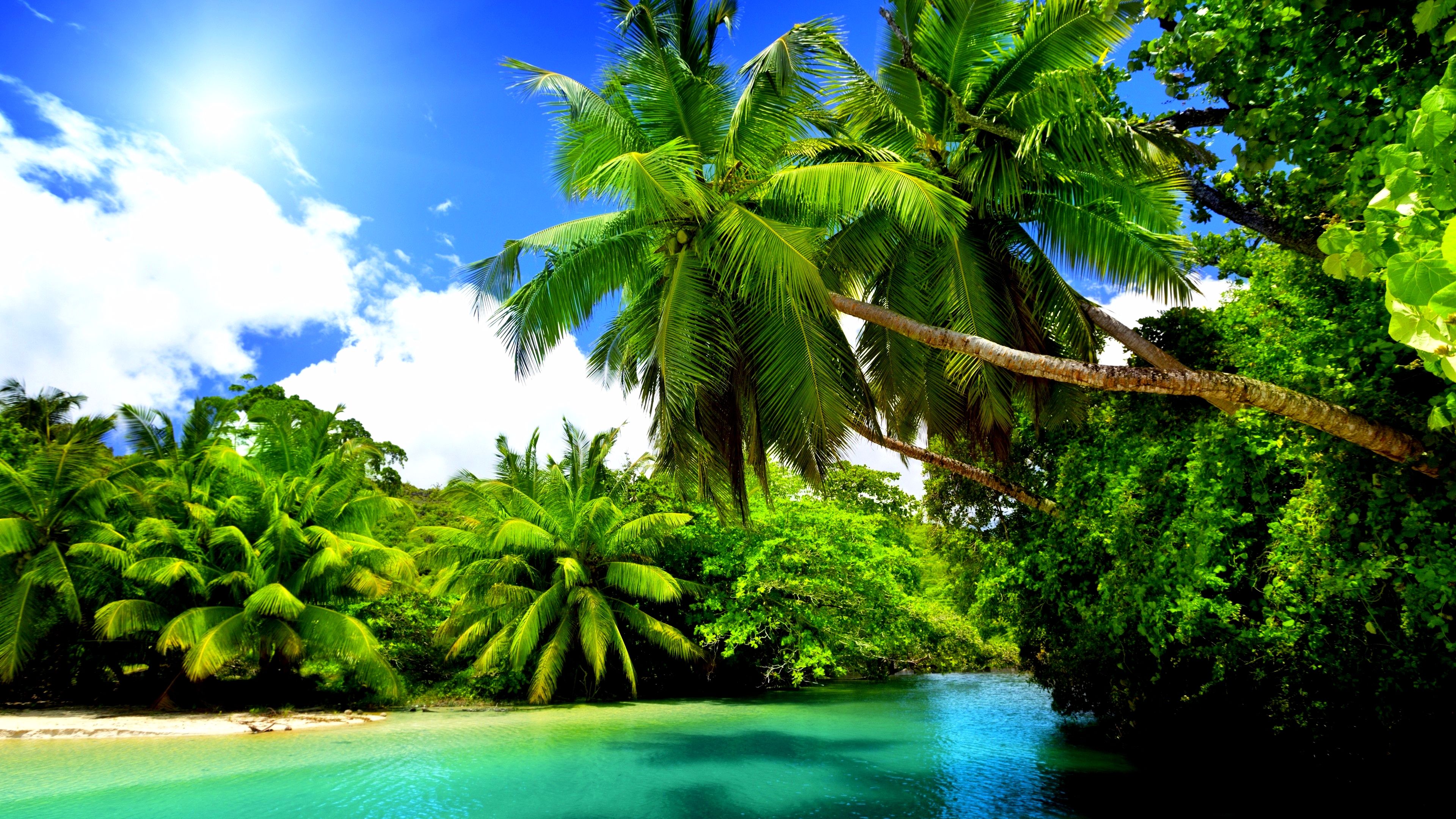 Ultra-HD-4K-Nature-Wallpaper.jpg