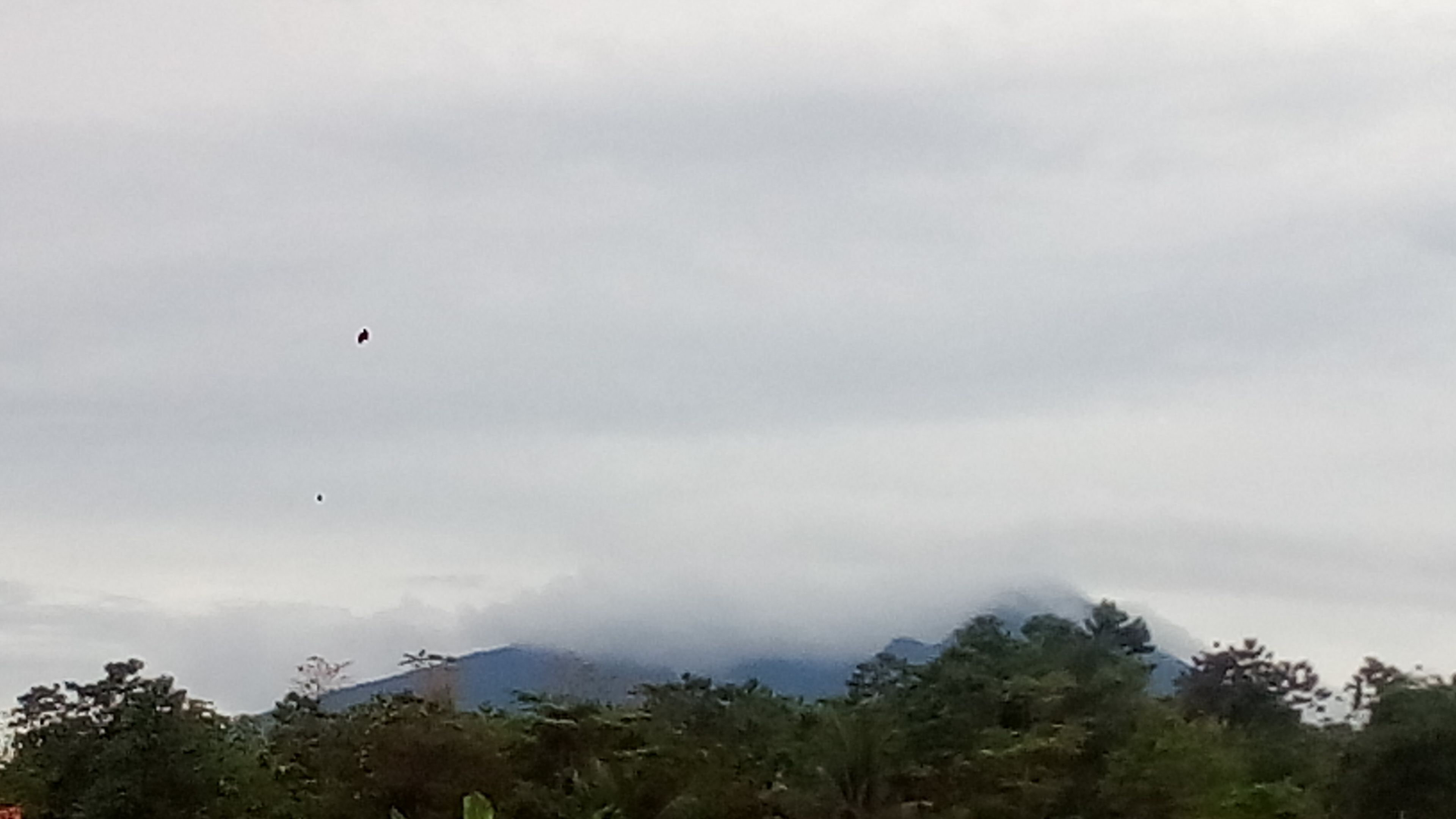Photo Photo Pemandangan Gunung Gede Di Pagi Hari Steemit