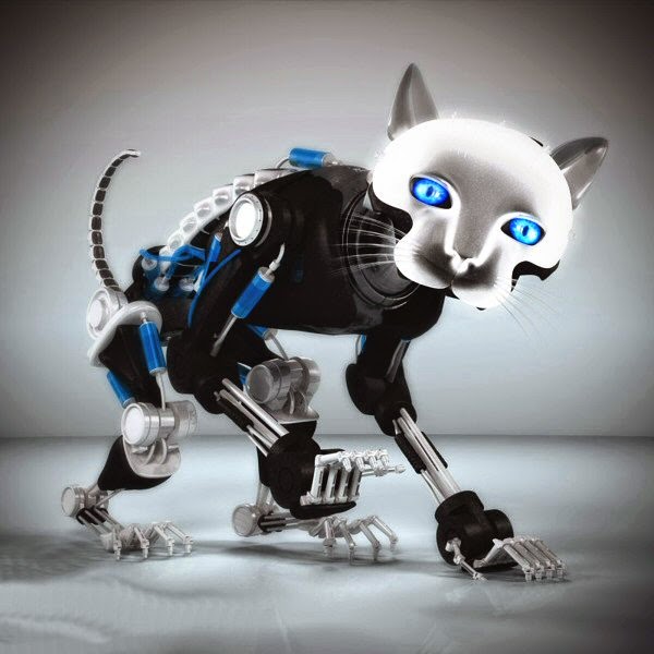 robot_cat_better.jpg