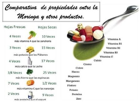 comparativa-de-propiedades-entre-la-moringa-y-otros-productos.jpg