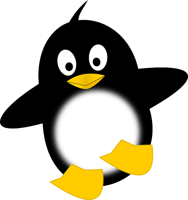 penguin-159137_640.png