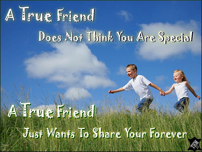 8609402100_1d58be3e81_c (1).jpg