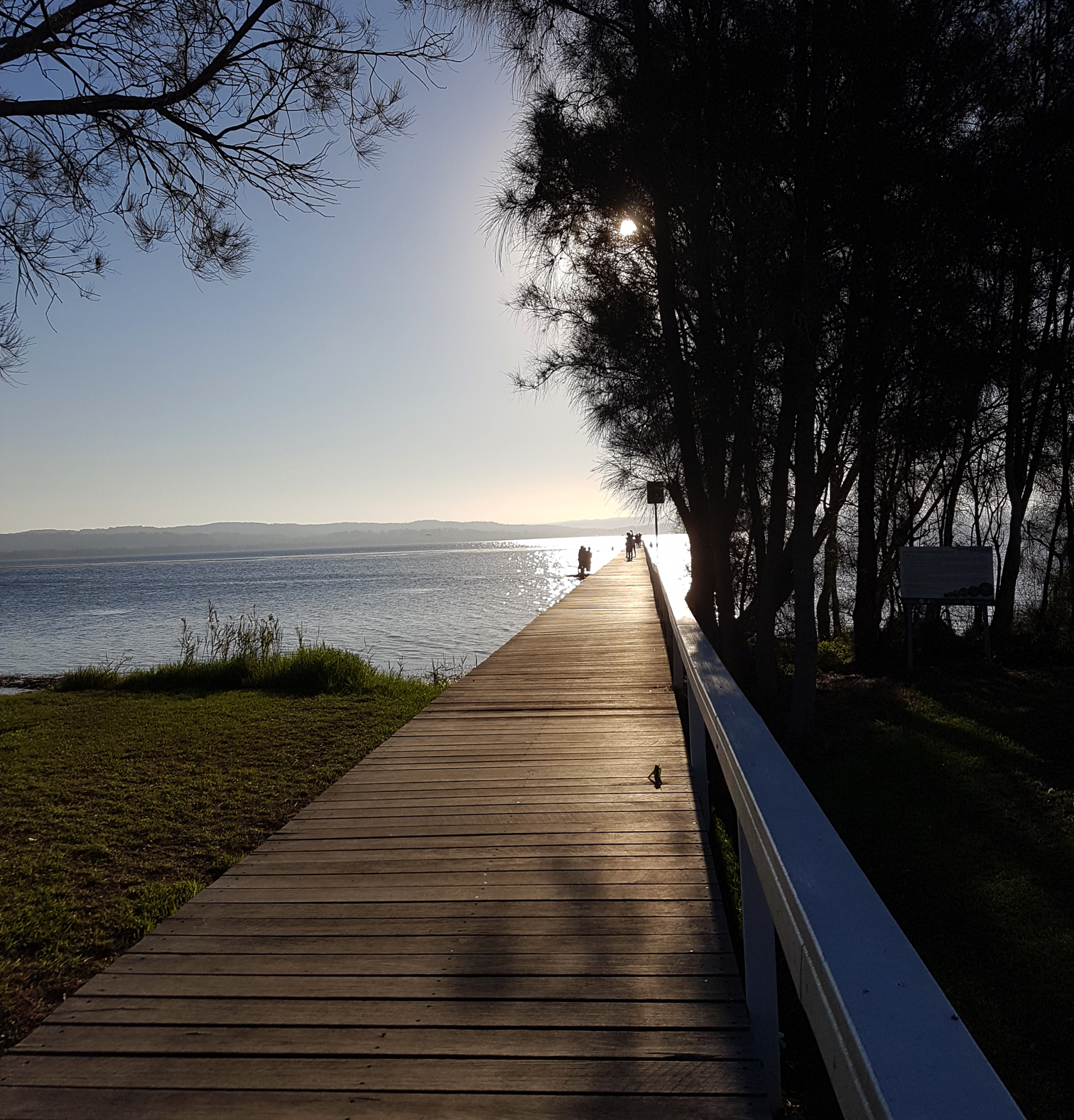 longjetty_01.jpg