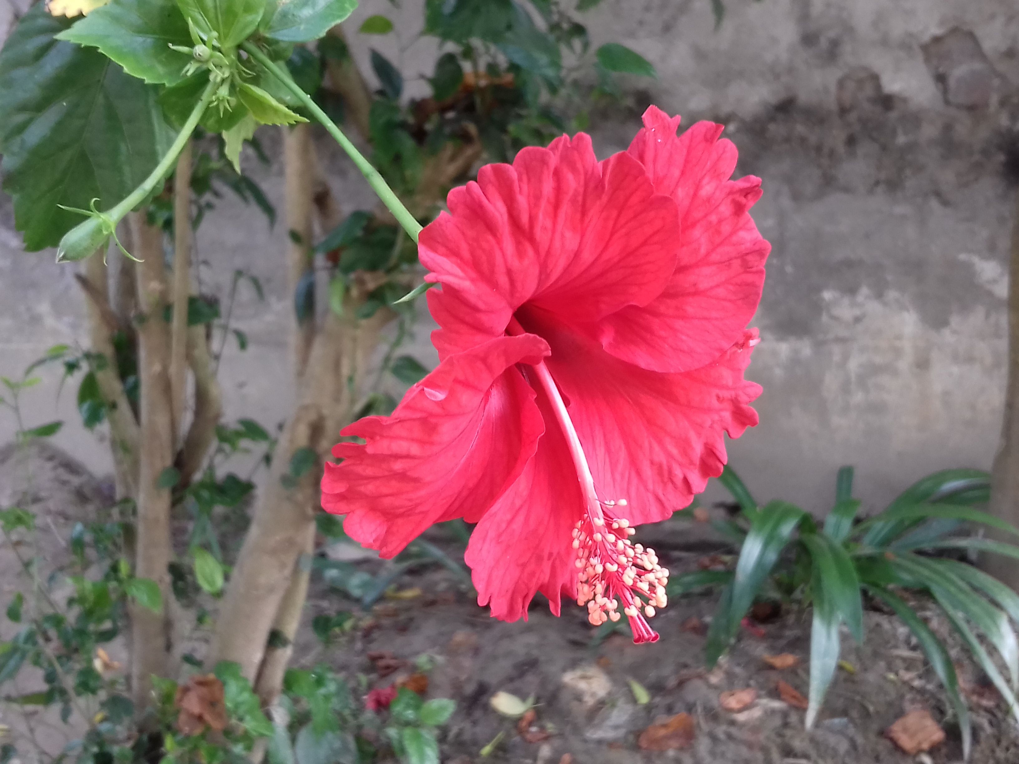 20171218_085606.jpg