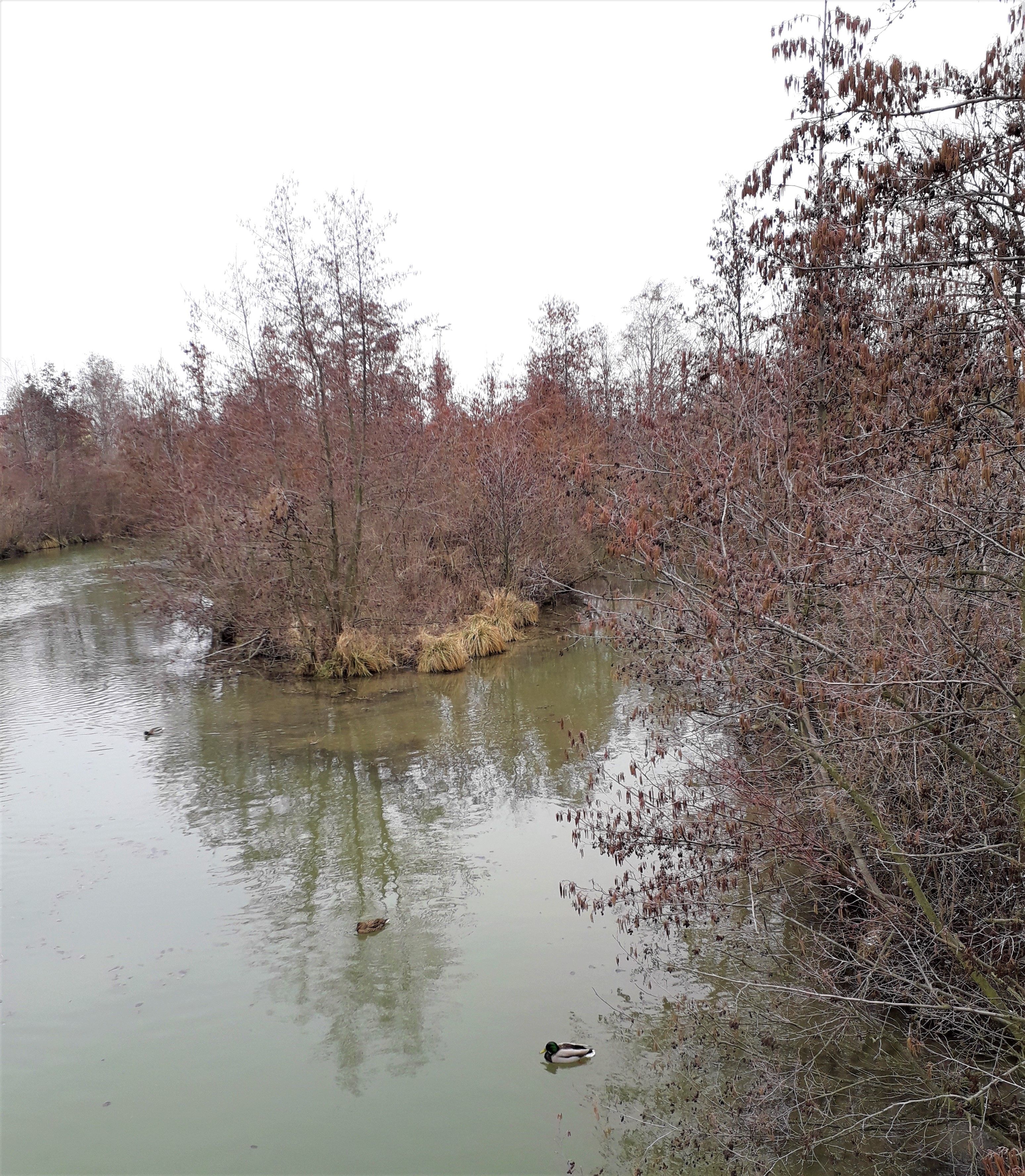 20180318_142310.jpg