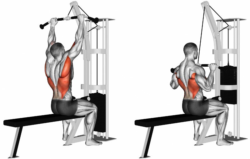 how-to-do-a-lat-pulldown-with-proper-form-mn-prime-lat-pulldown-form.jpeg