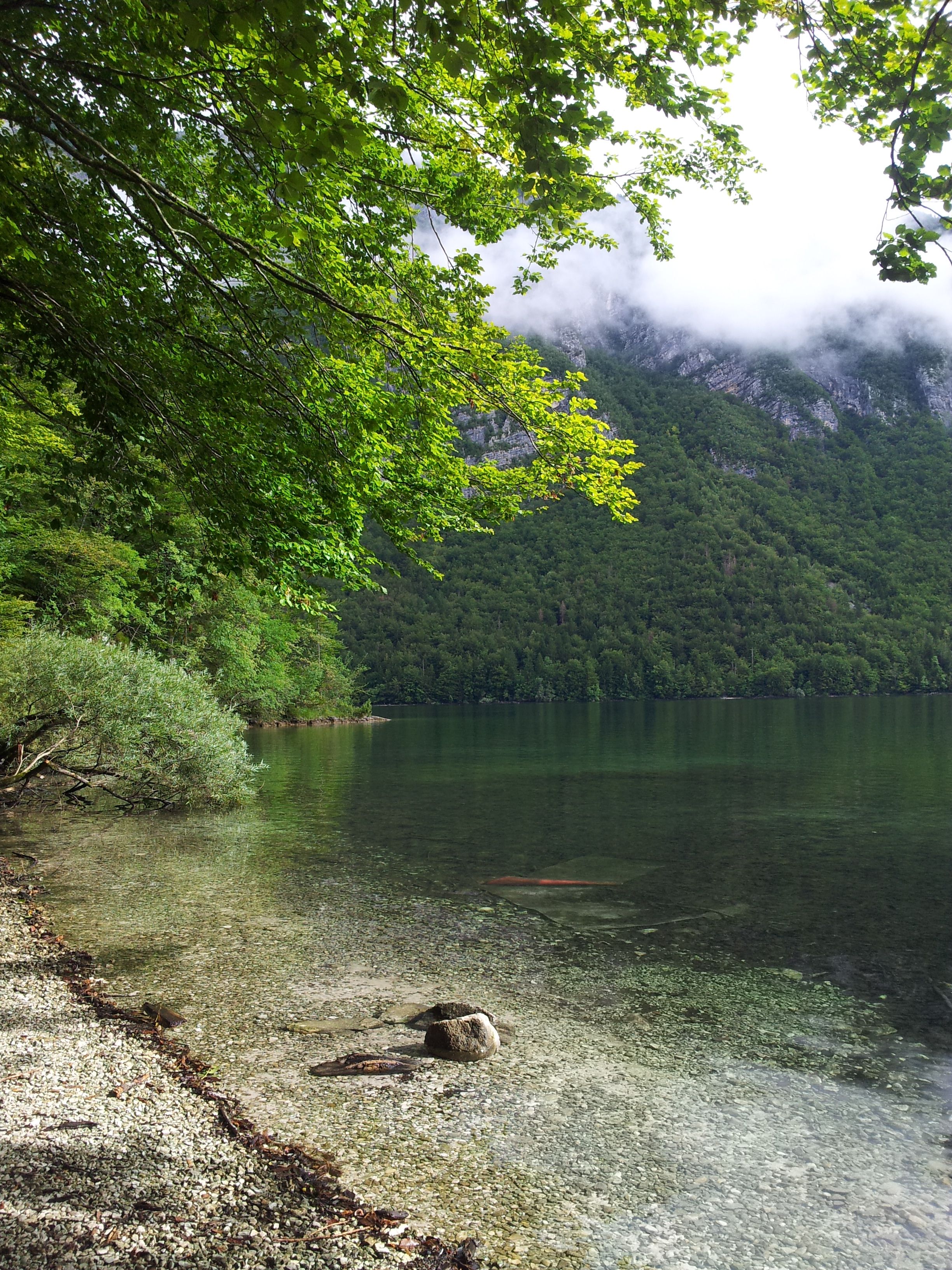 Slovenie - Lac de Boheinj - Aout 2017 (85).jpg