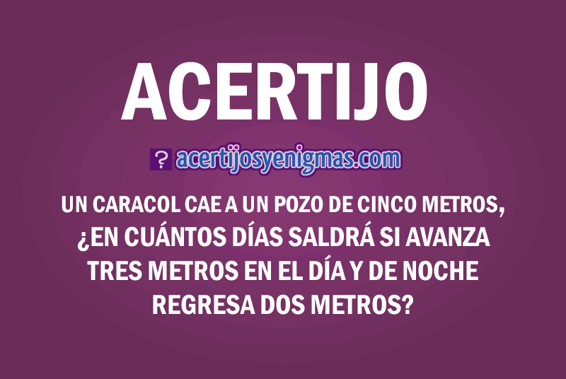 acertijo-caracol.png