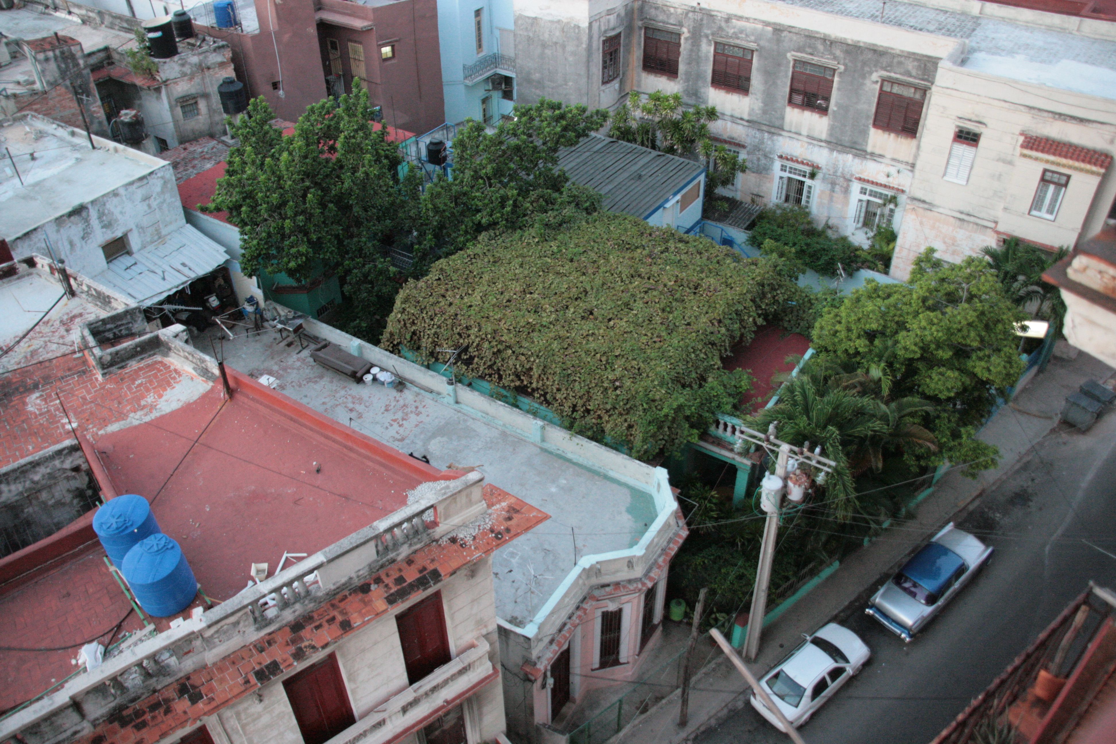 IMG_9797.JPG