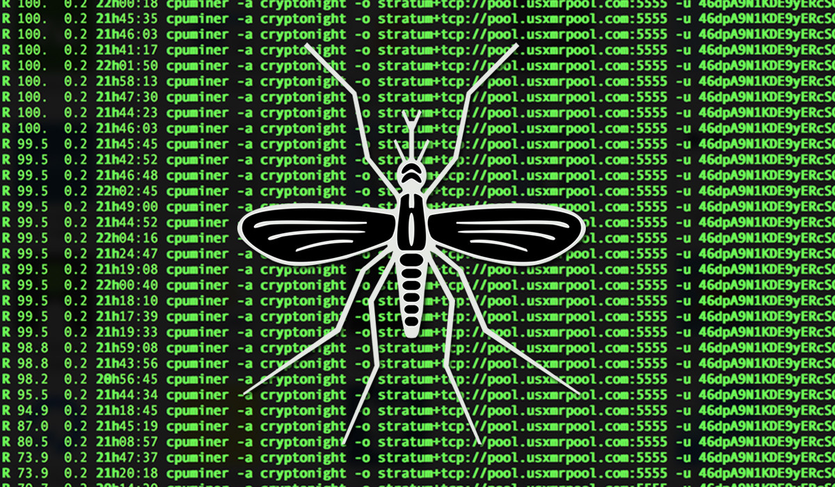 crypto_mosquito.jpg