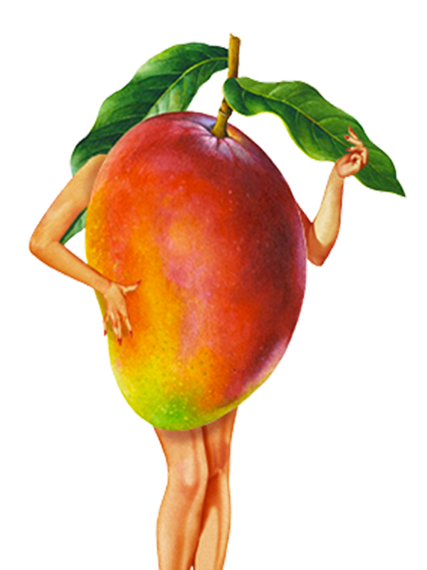 mango ile ilgili görsel sonucu