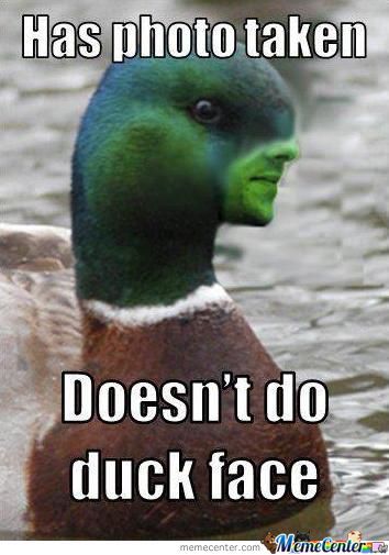 good-guy-duck_o_796977.jpg